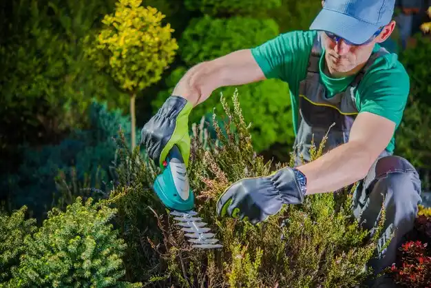 landscaping services Massapequa Park